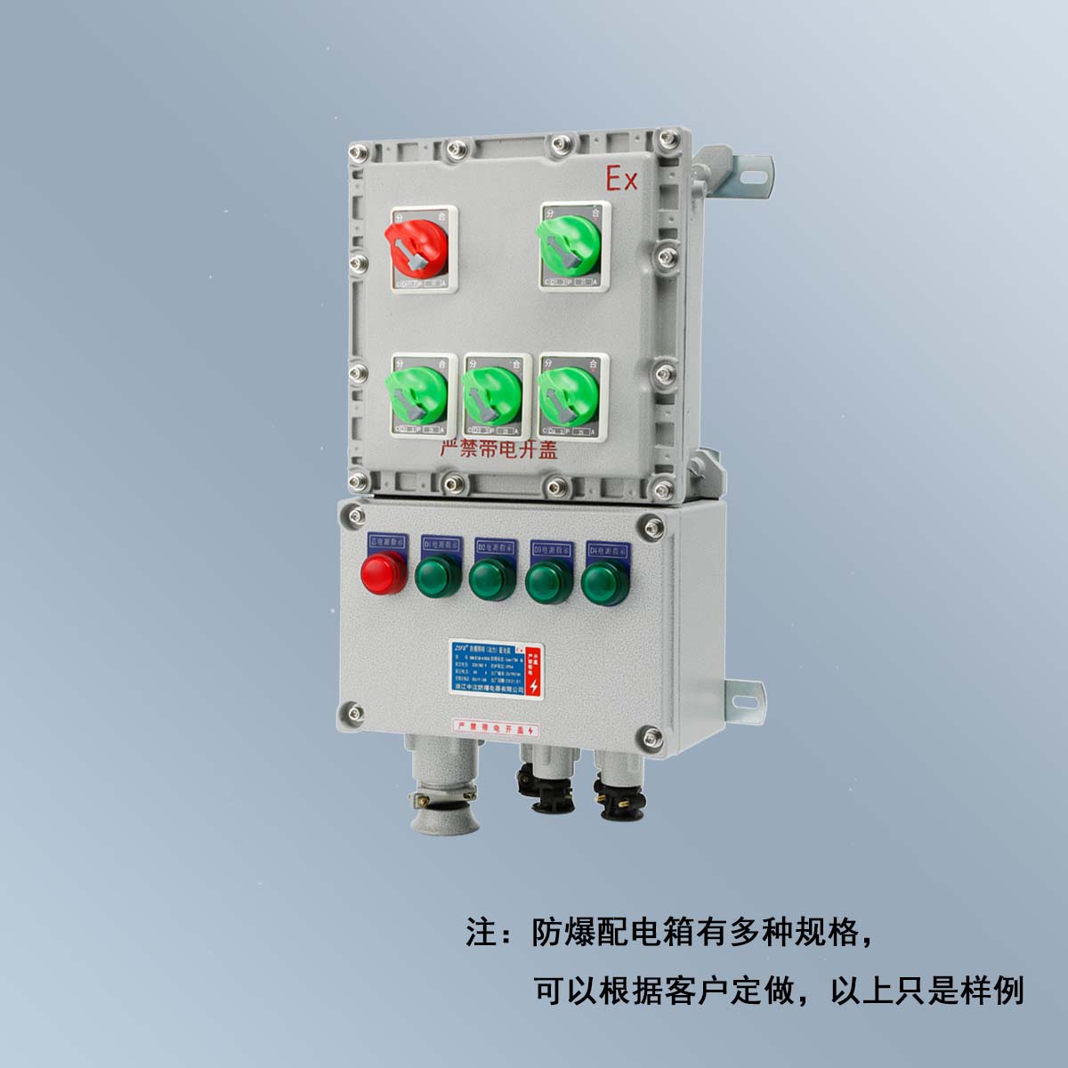 BXM(D)58 系列防爆照明(動(dòng)力)配電箱 (ⅡB、ⅡC、DIP)
